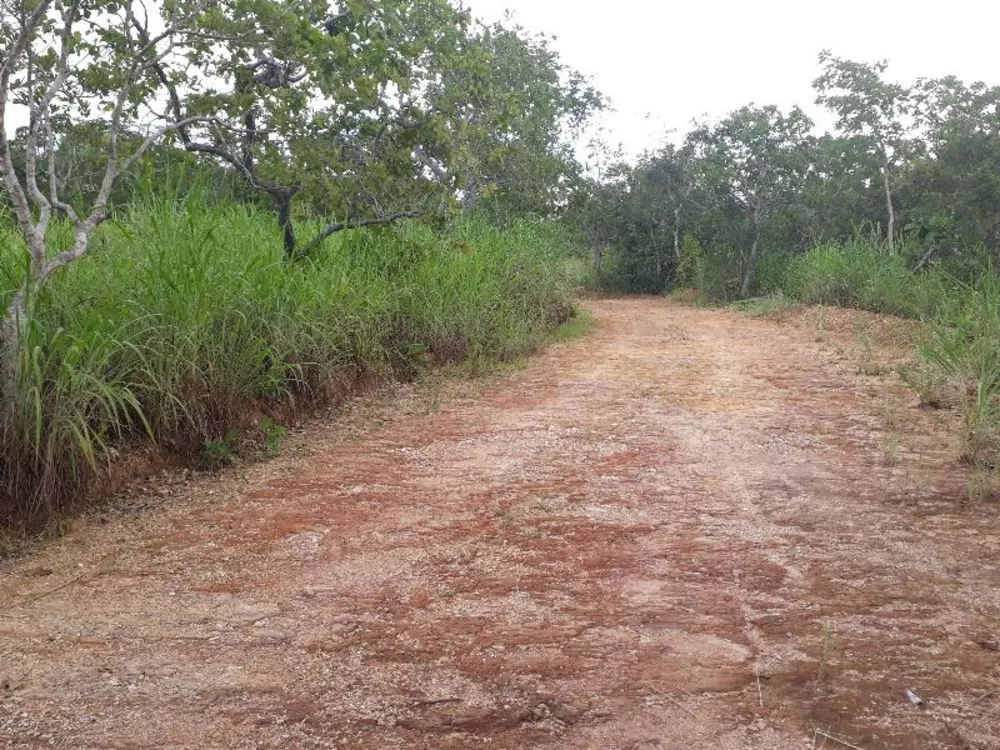 Fazenda à venda - Foto 1