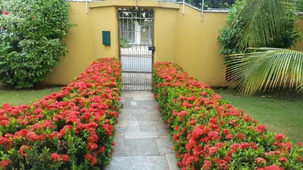Casa, 3 quartos, 505 m² - Foto 3