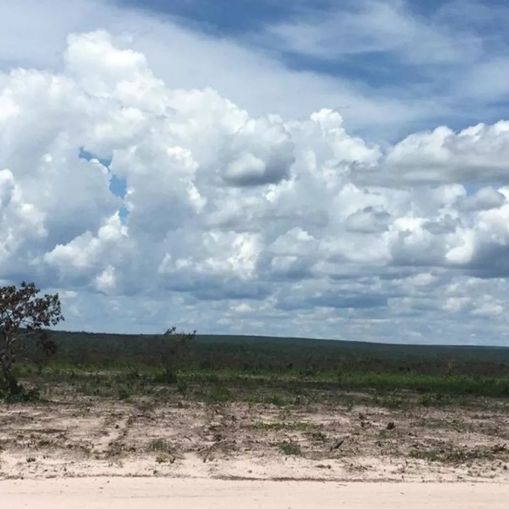 Fazenda à venda - Foto 4