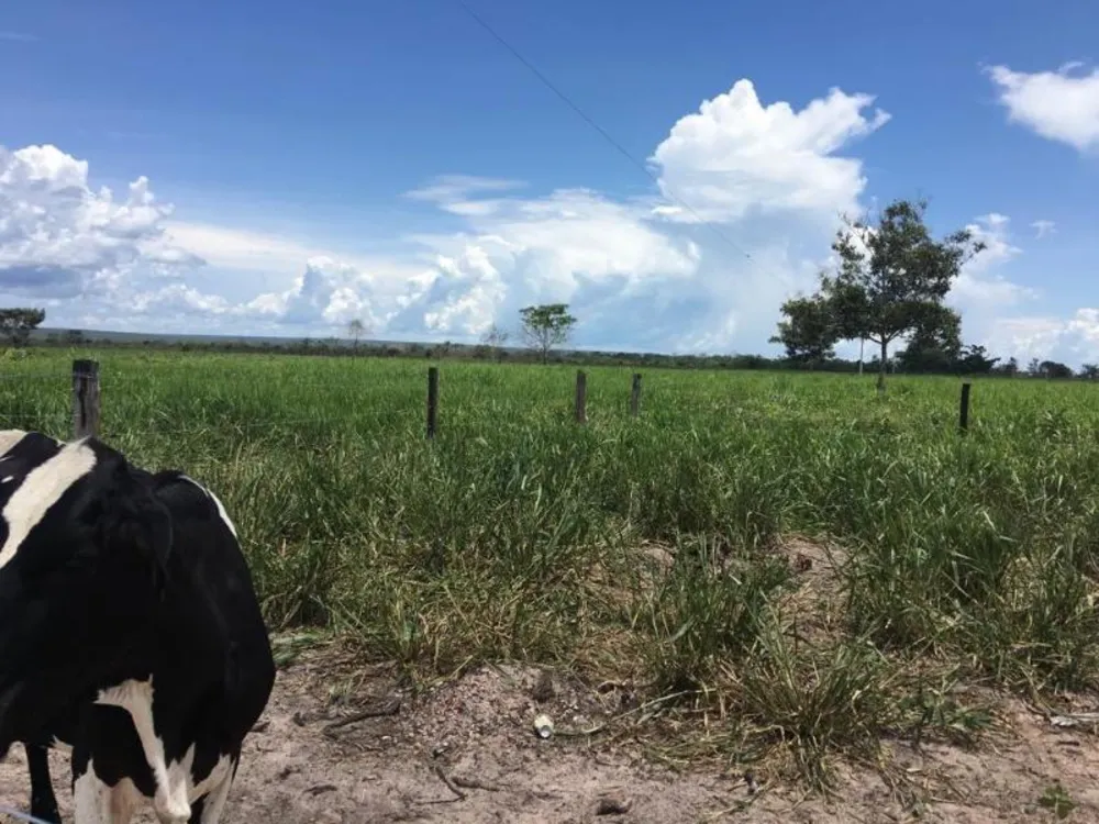 Fazenda - Foto 10