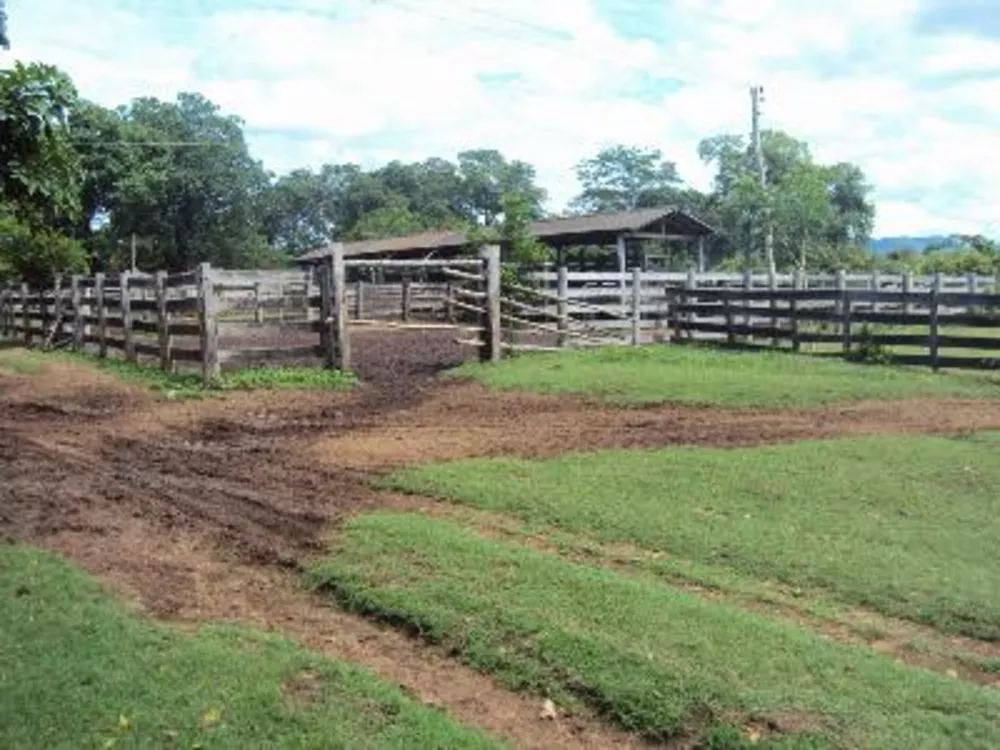 Fazenda à venda - Foto 8