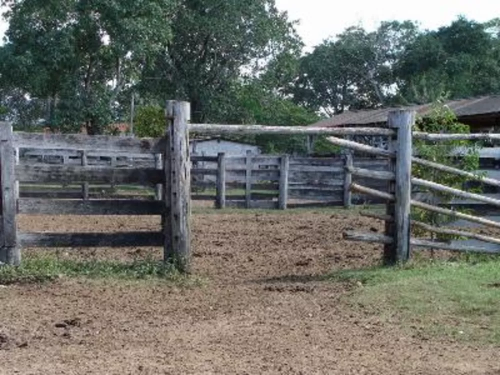 Fazenda à venda - Foto 5