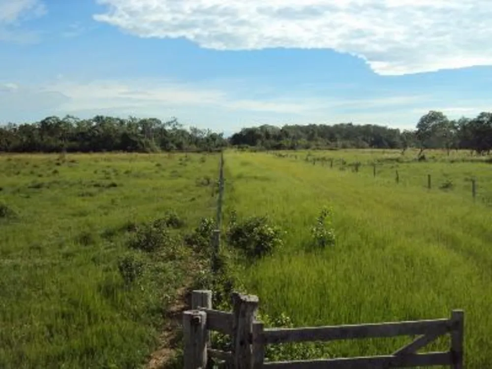 Fazenda - Foto 10