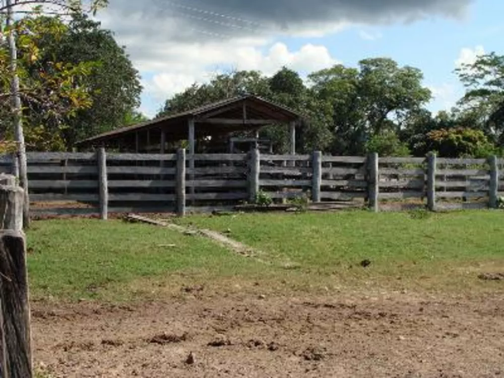 Fazenda à venda - Foto 6