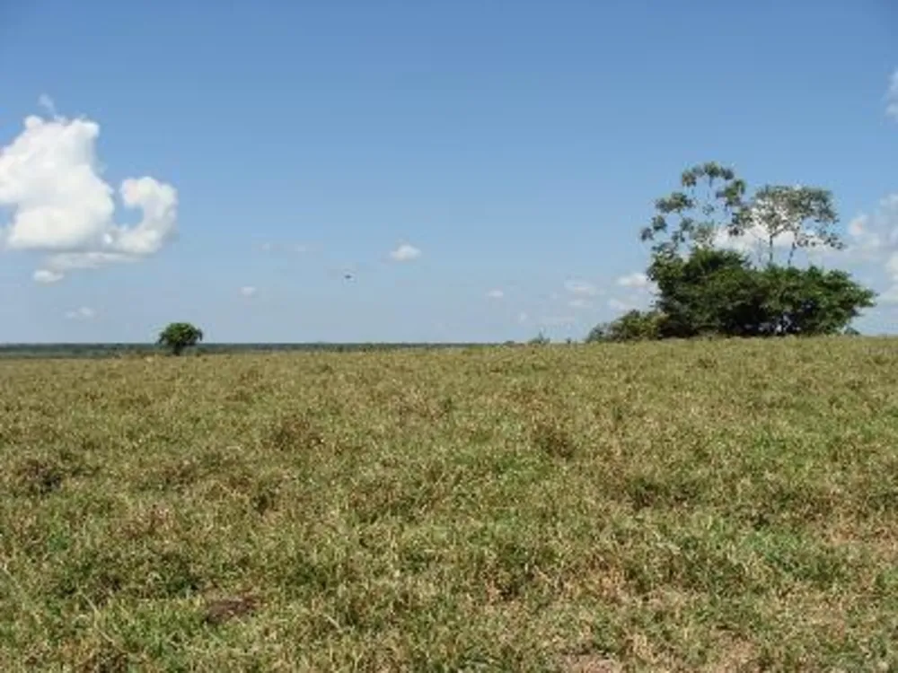 Fazenda - Foto 11