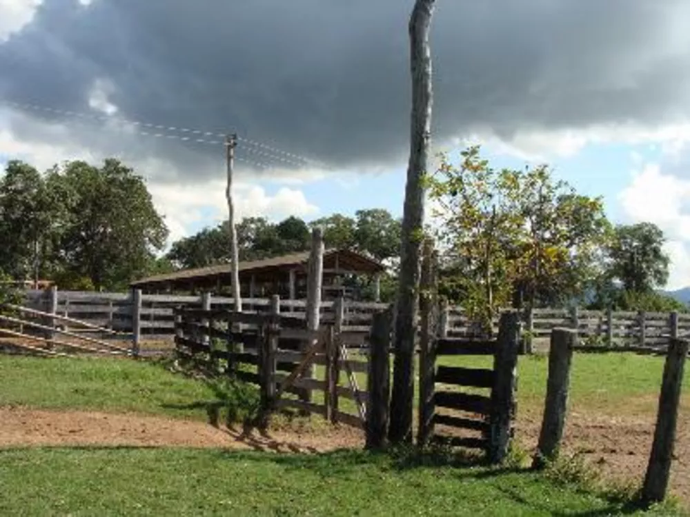 Fazenda à venda - Foto 7