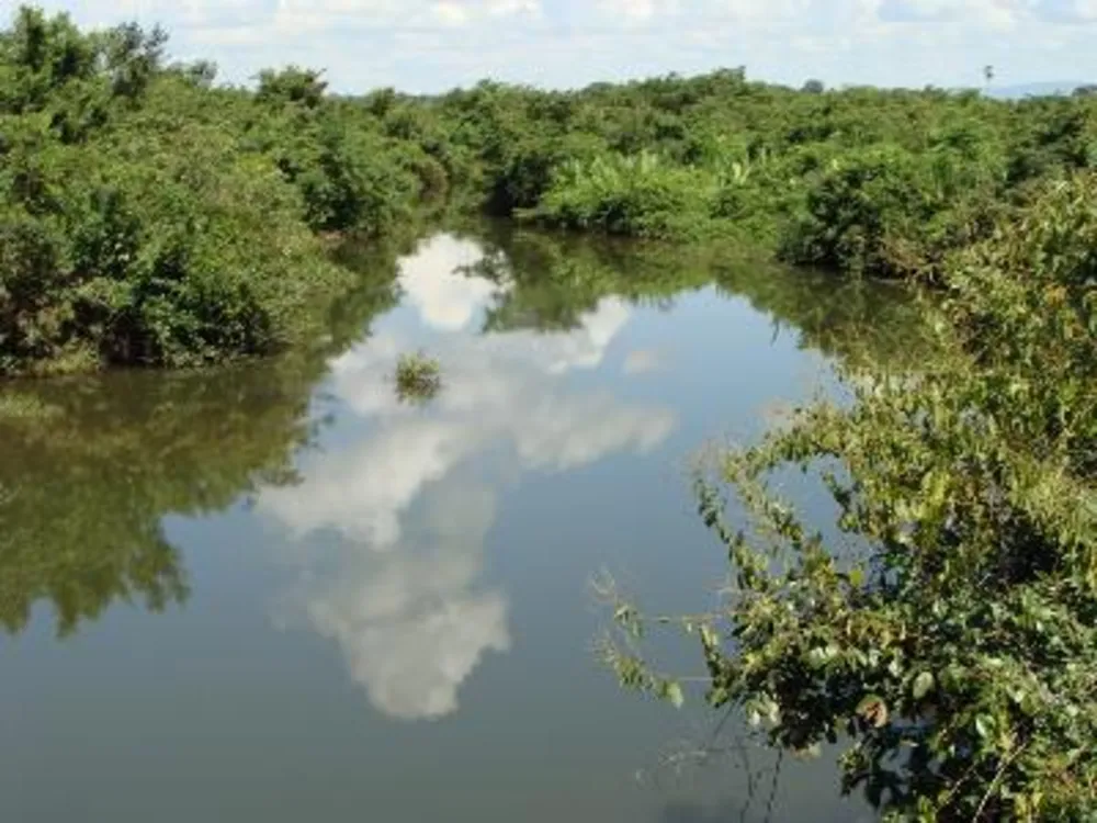 Fazenda - Foto 12