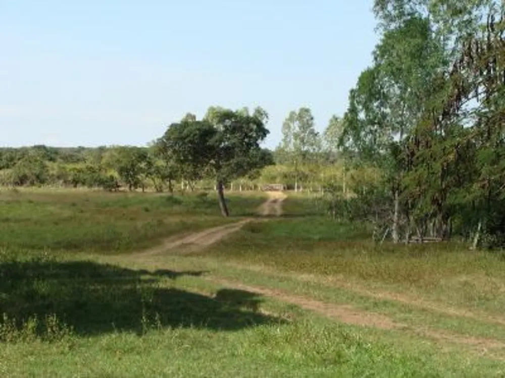 Fazenda - Foto 9