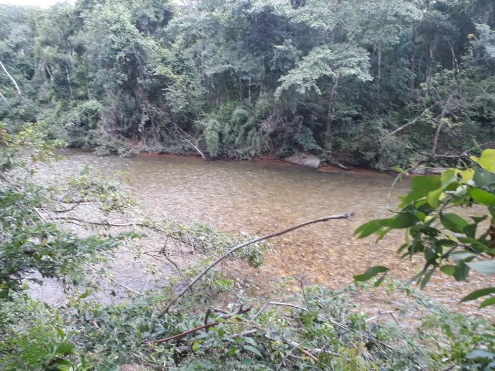 Fazenda - Foto 8