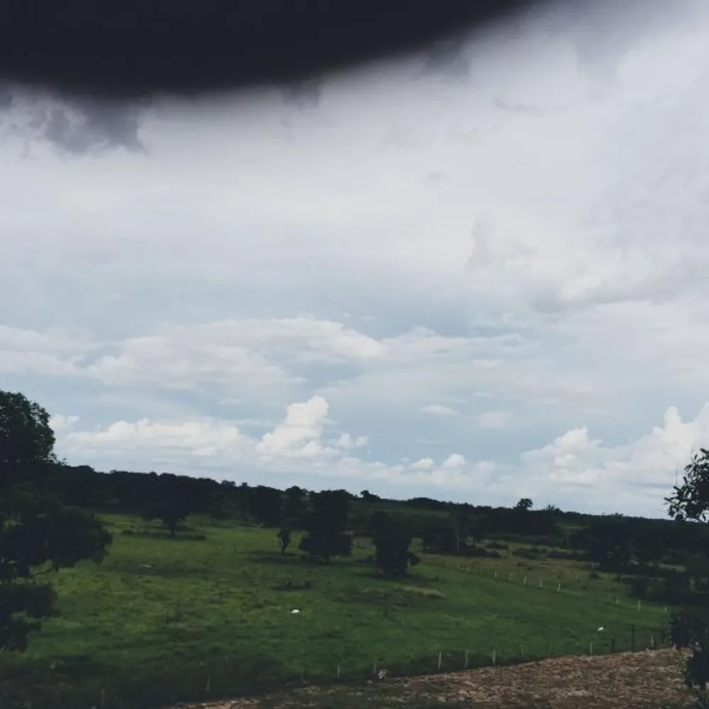 Fazenda - Foto 6