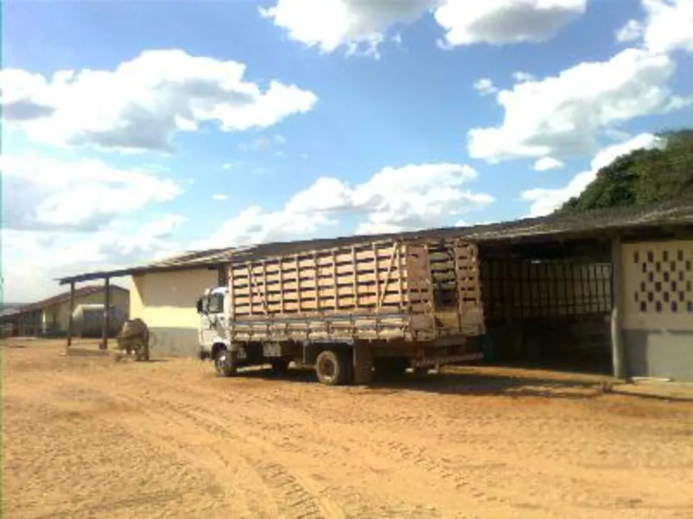 Fazenda à venda - Foto 4