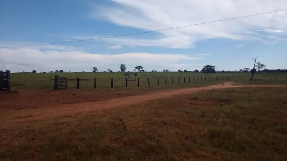 Fazenda - Foto 9
