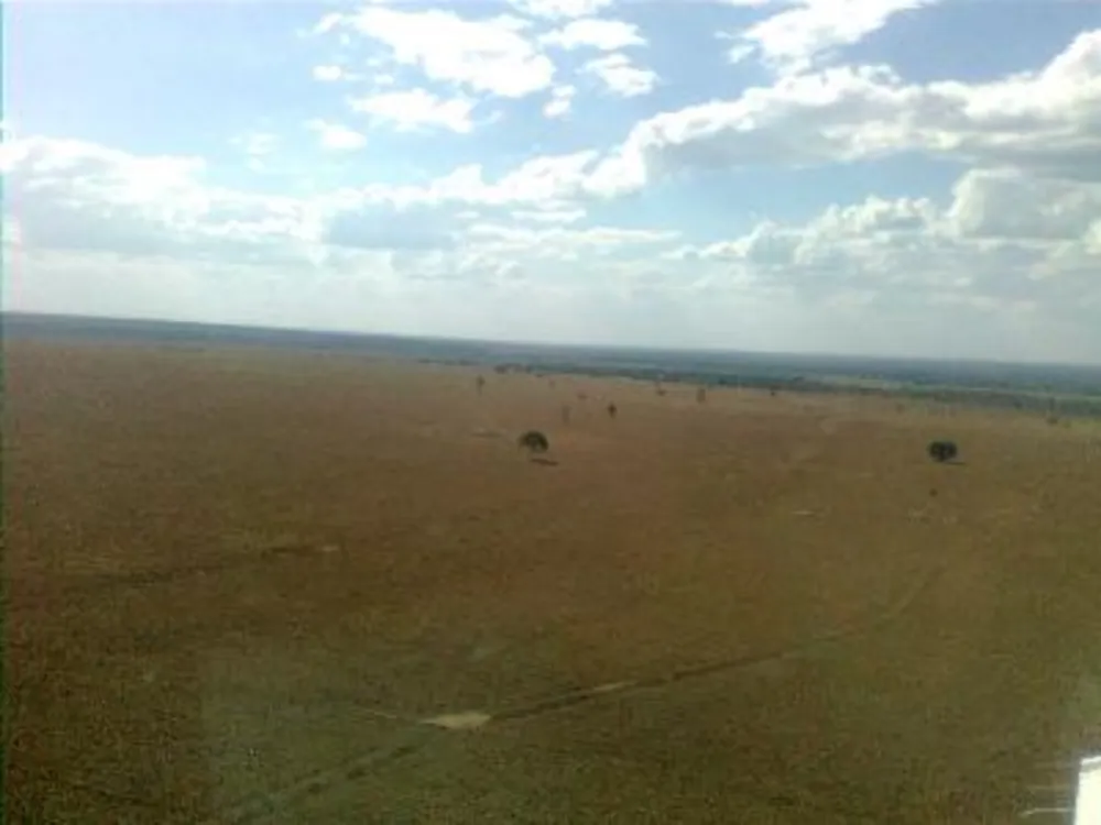 Fazenda - Foto 12