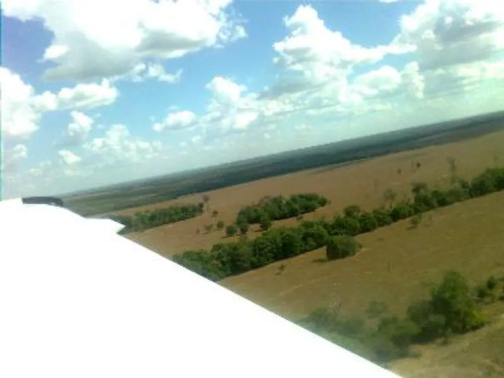 Fazenda - Foto 10