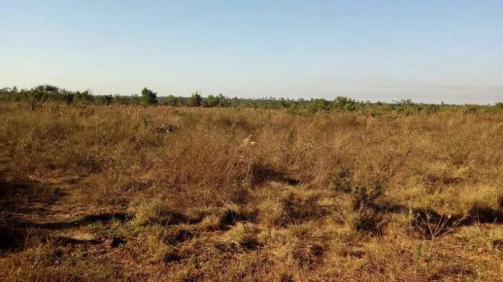 Fazenda - Foto 2