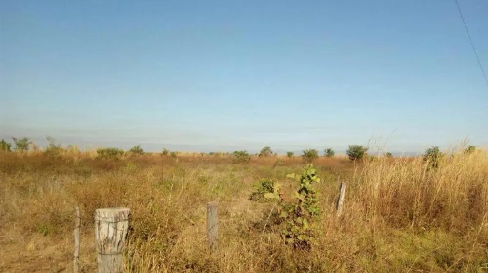Fazenda - Foto 4