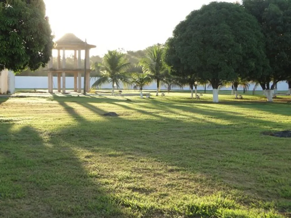 Chácara - Foto 9