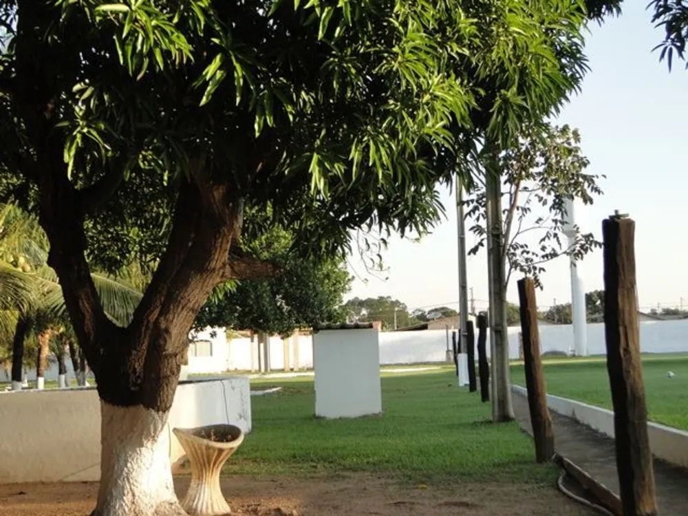 Chácara - Foto 5