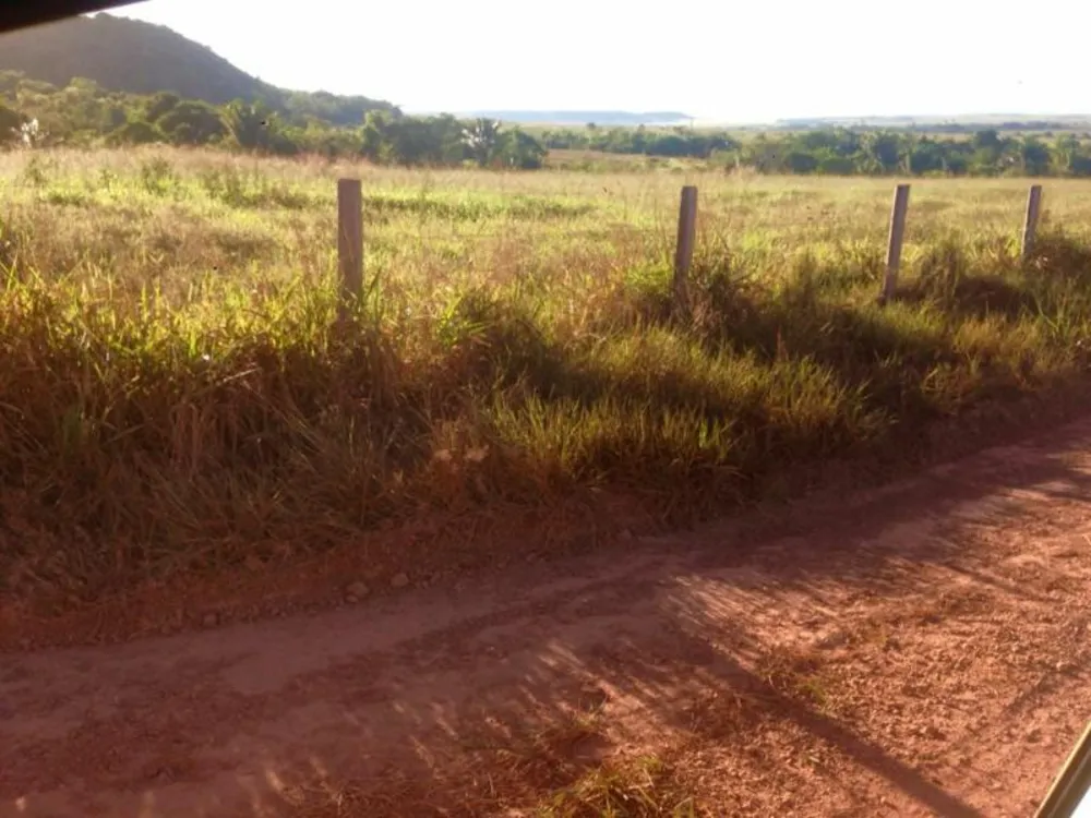 Fazenda - Foto 7