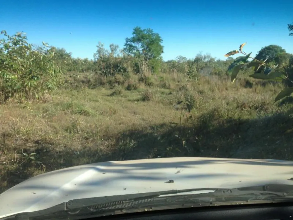 Fazenda - Foto 5