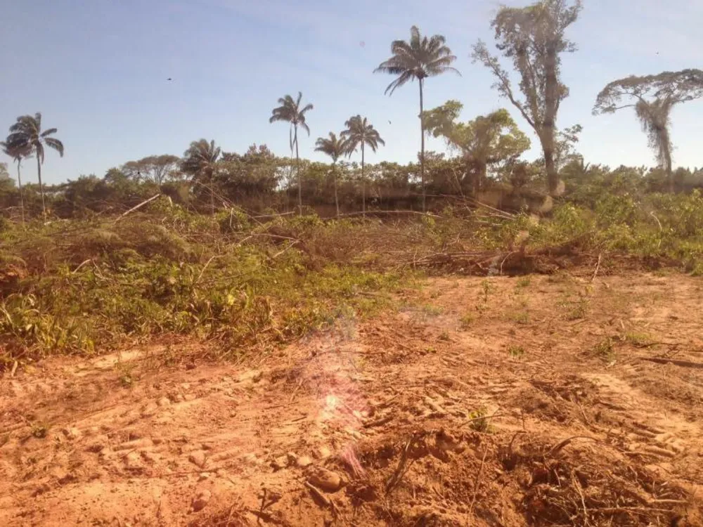 Fazenda - Foto 3