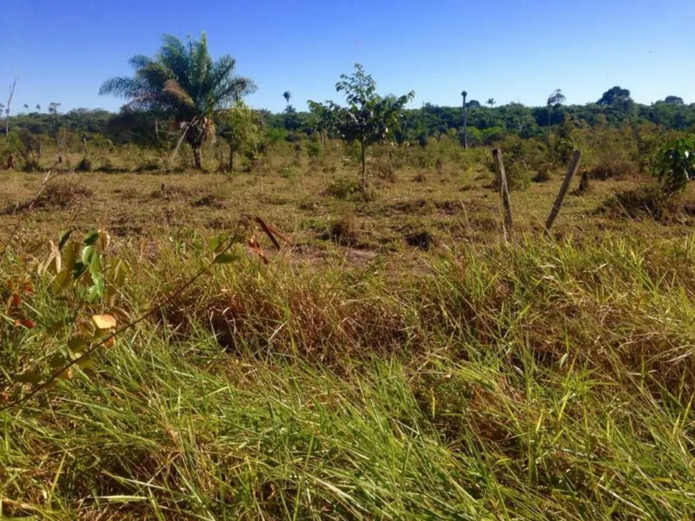 Fazenda - Foto 6