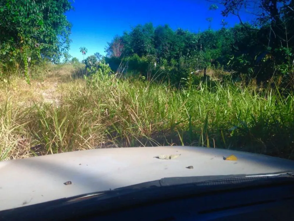 Fazenda - Foto 1