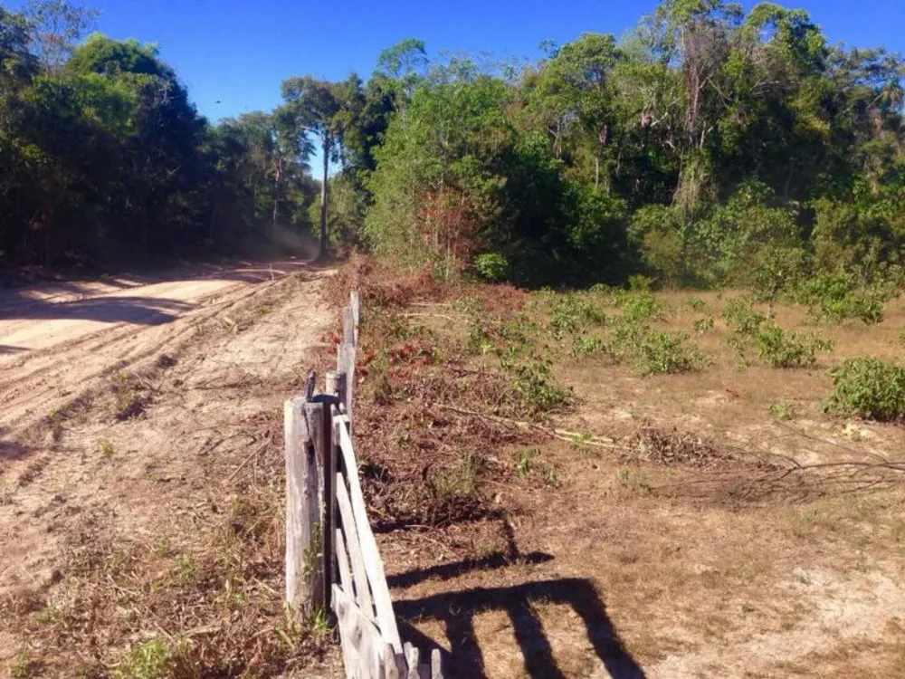 Fazenda - Foto 8