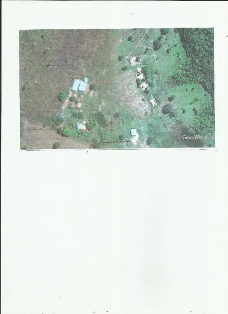 Fazenda - Foto 5