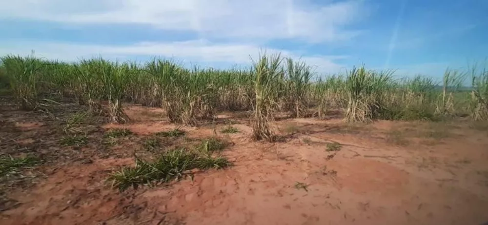 Fazenda à venda - Foto 4