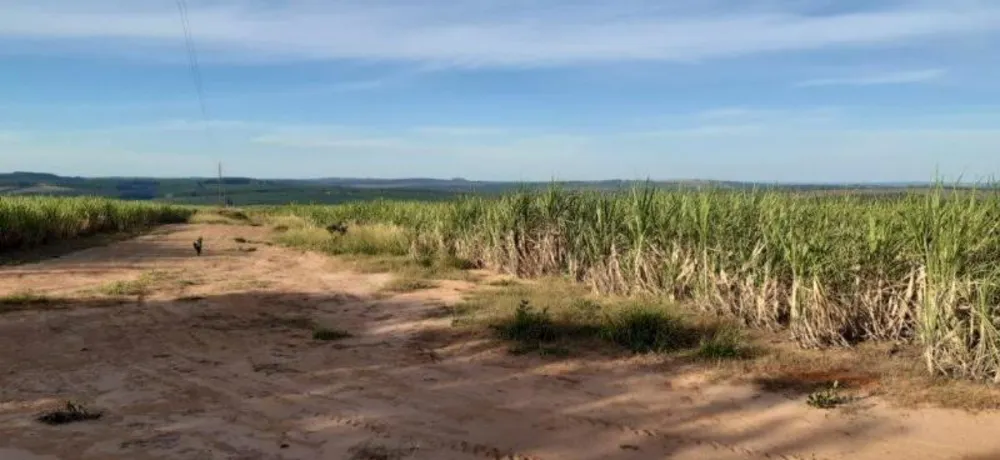 Fazenda - Foto 7