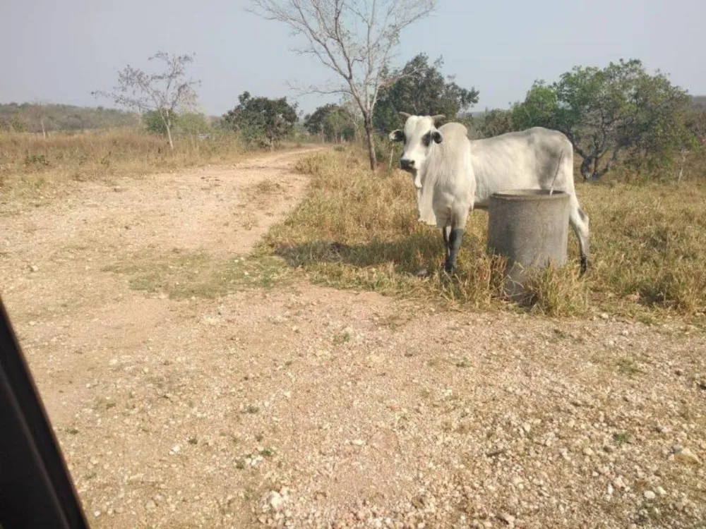 Fazenda - Foto 9