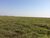 Fazenda - Foto 4