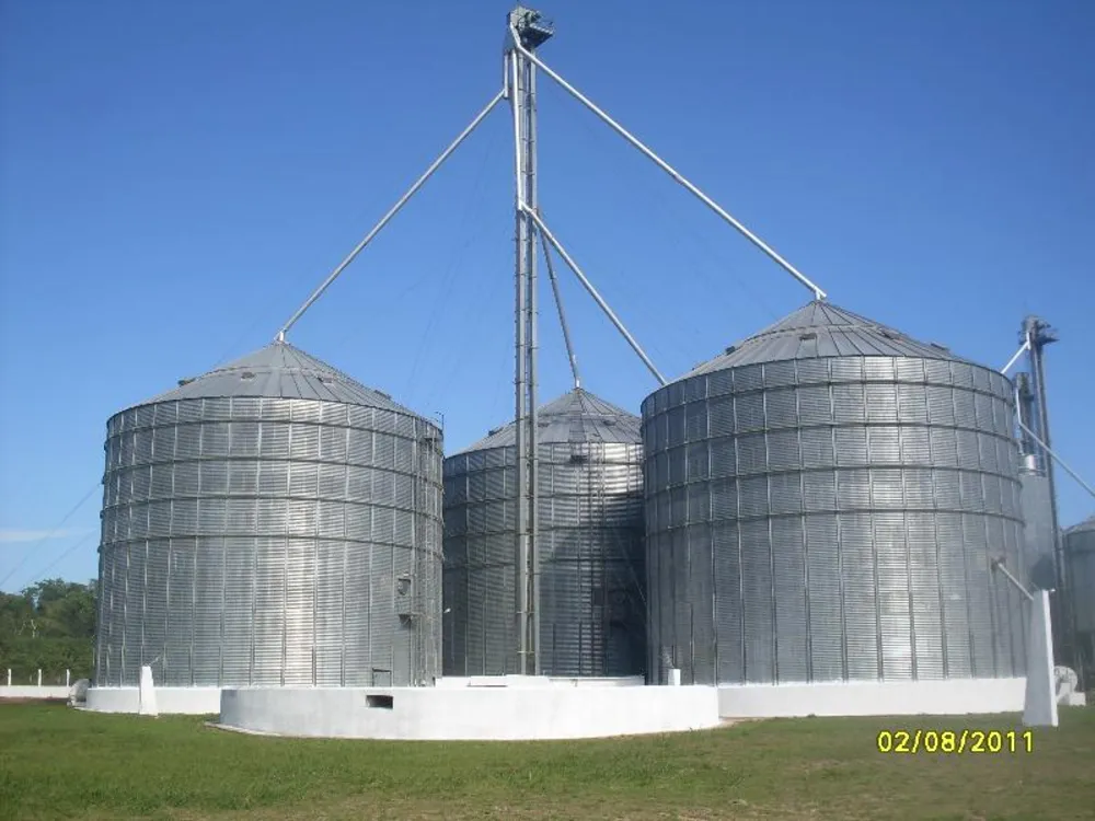 Fazenda - Foto 7