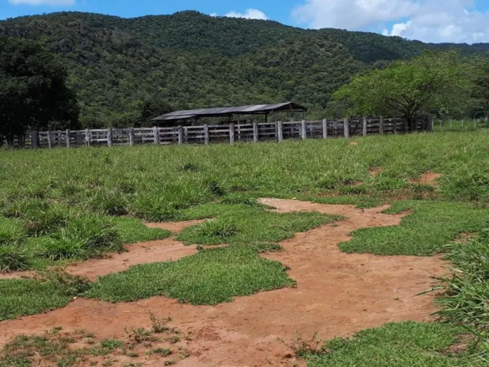 Fazenda - Foto 6