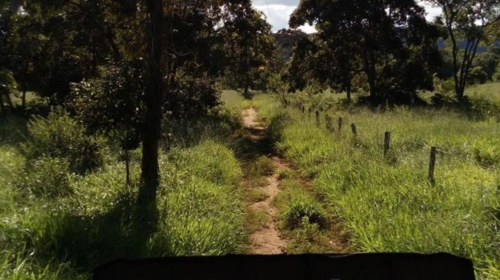 Fazenda - Foto 5