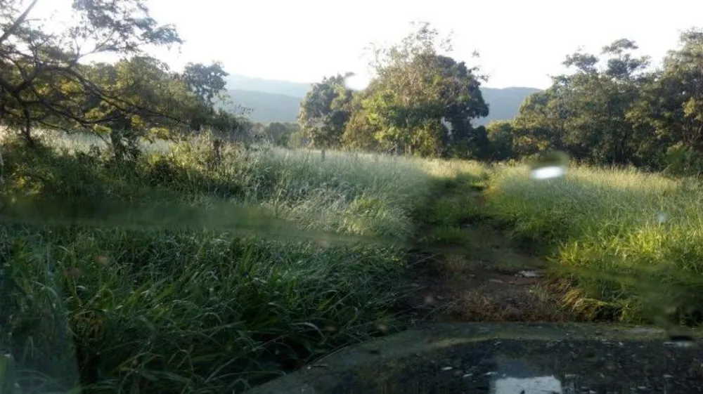 Fazenda - Foto 2