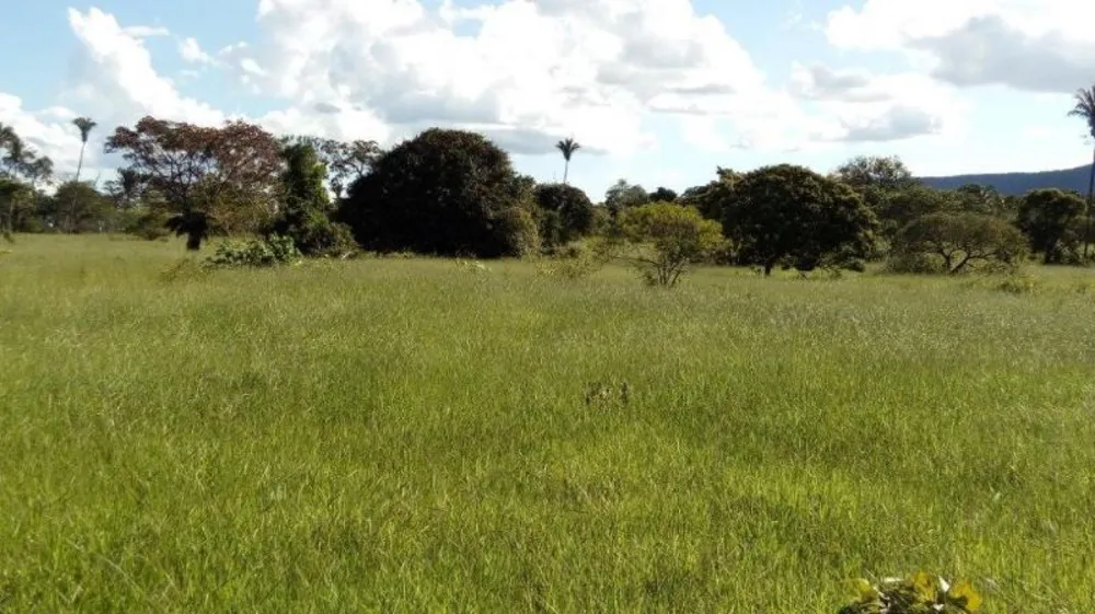 Fazenda - Foto 4