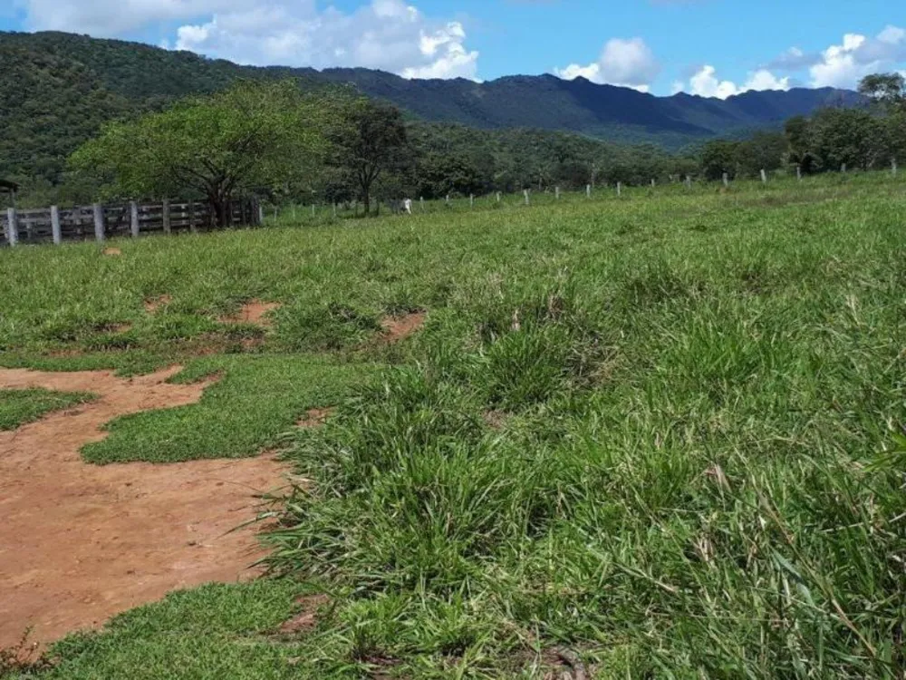 Fazenda - Foto 7