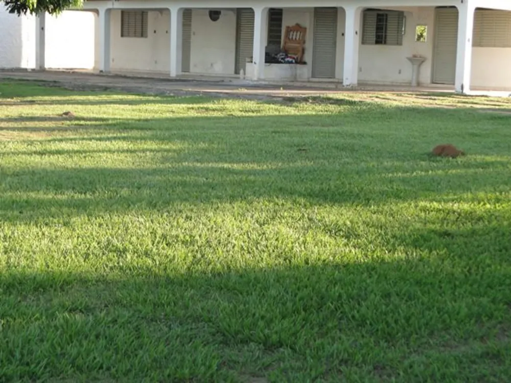 Apartamento, 2 quartos, 62 m² - Foto 7