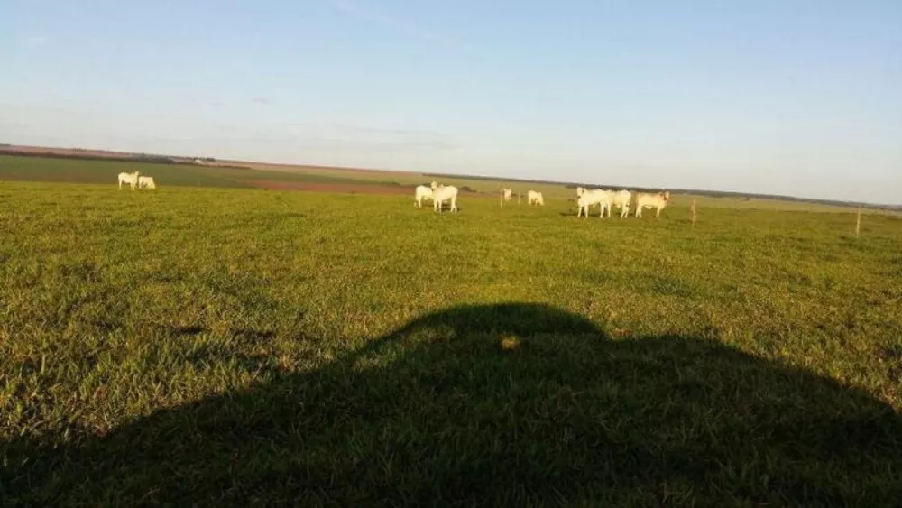 Fazenda à venda - Foto 4