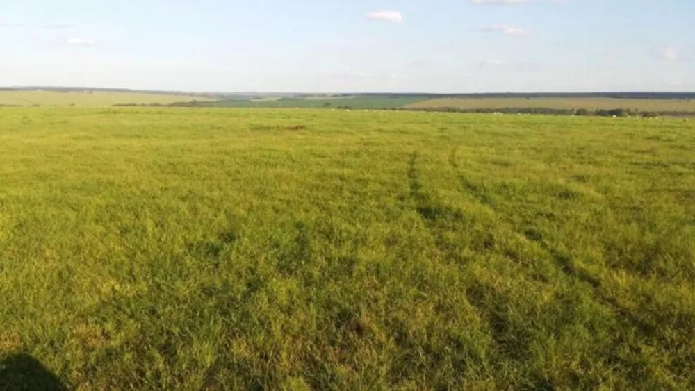 Fazenda à venda - Foto 2