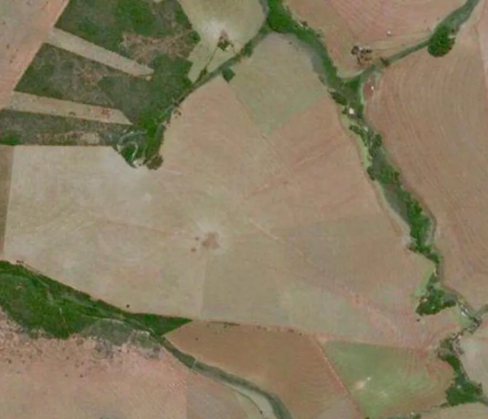 Fazenda - Foto 7