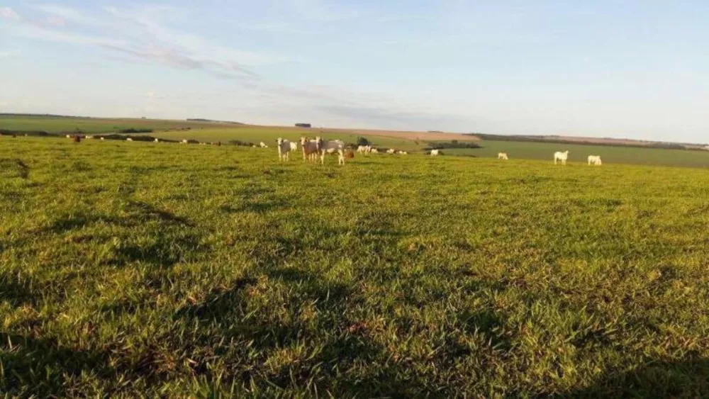 Fazenda à venda - Foto 1