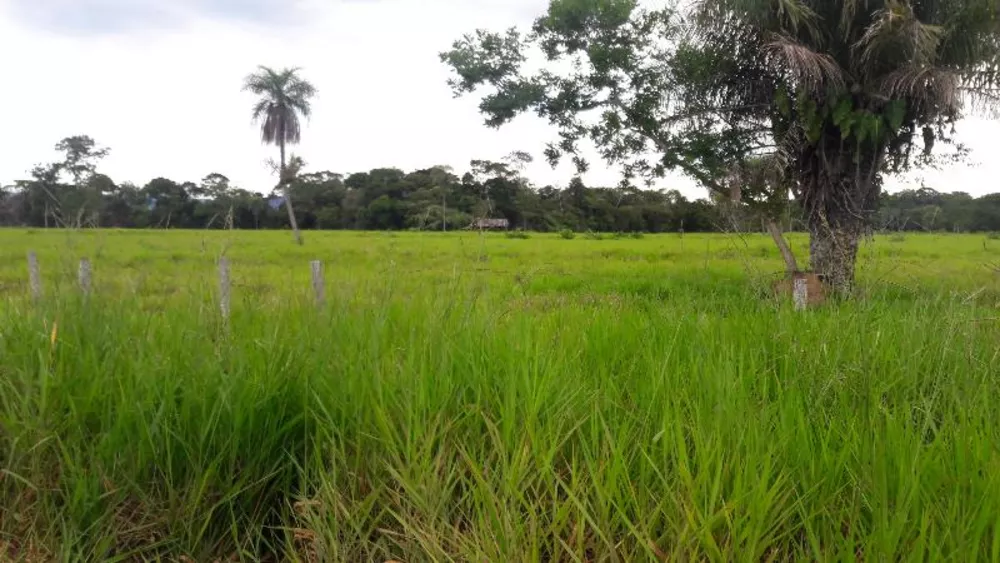 Fazenda à venda - Foto 1