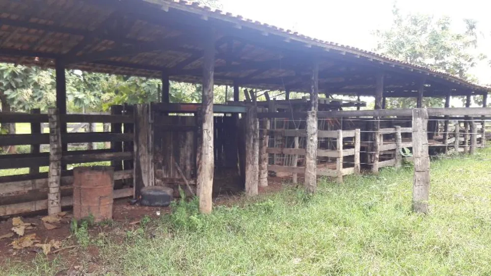Fazenda - Foto 10