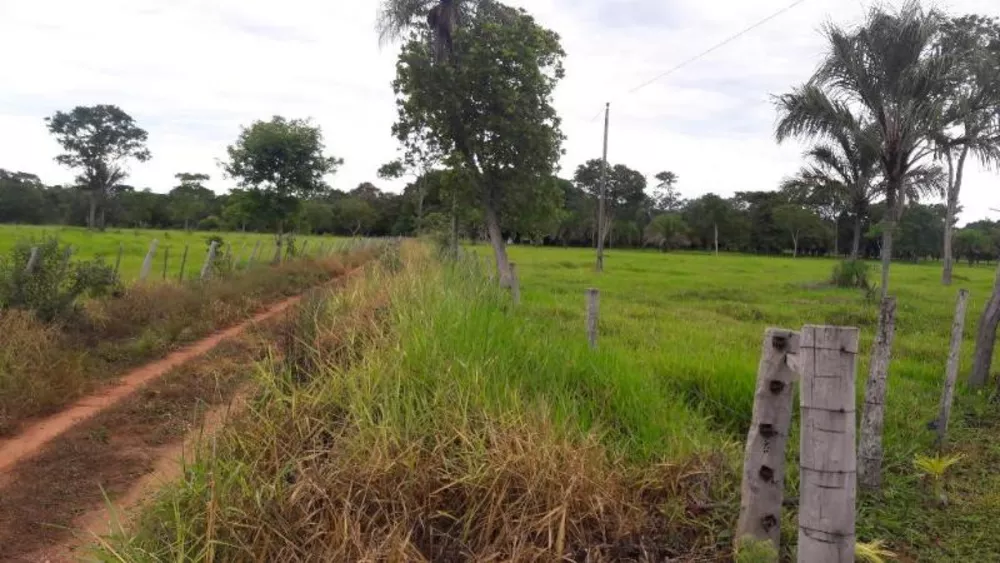 Fazenda à venda - Foto 5