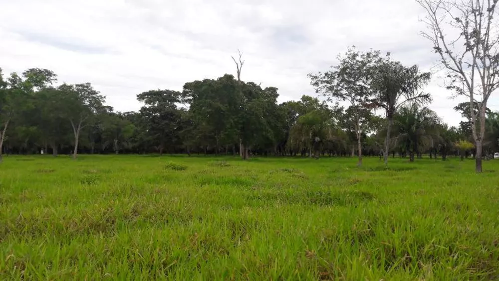 Fazenda à venda - Foto 8