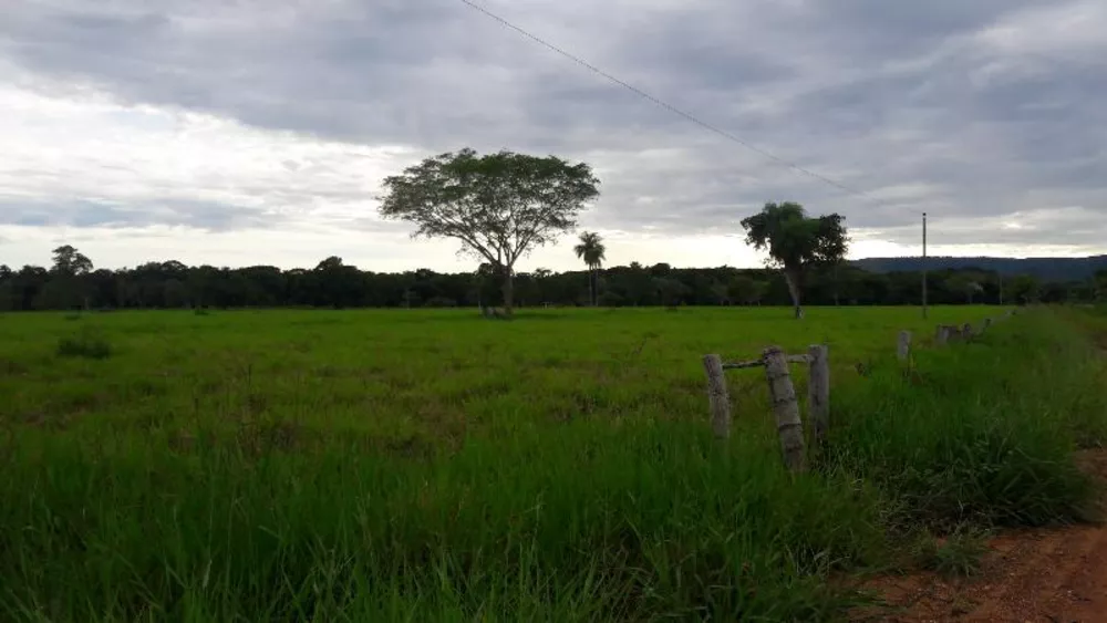 Fazenda à venda - Foto 7