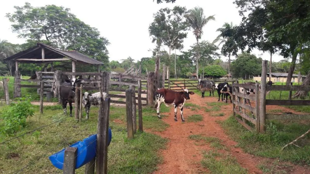 Fazenda - Foto 13
